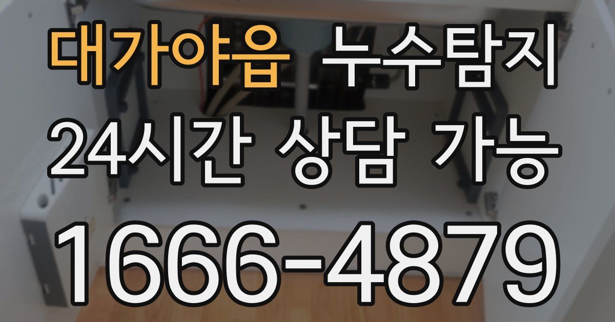 대가야읍 누수