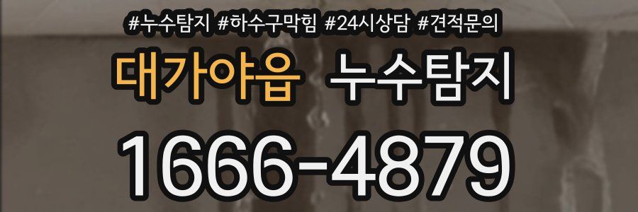 누수탐지
