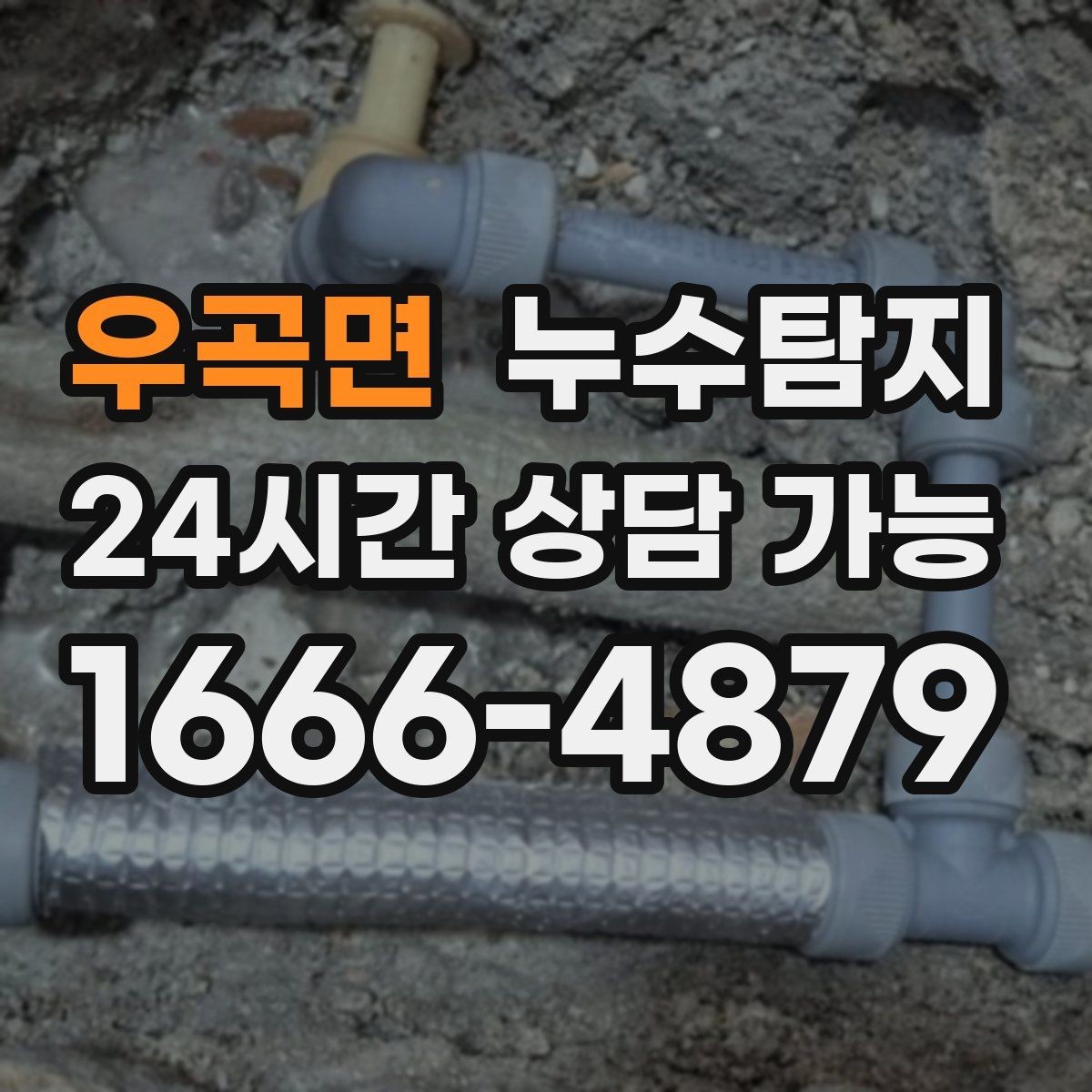 우곡면 누수탐지 반려가정 배려 점검 후기