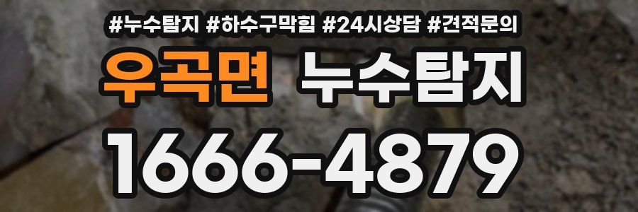 누수탐지