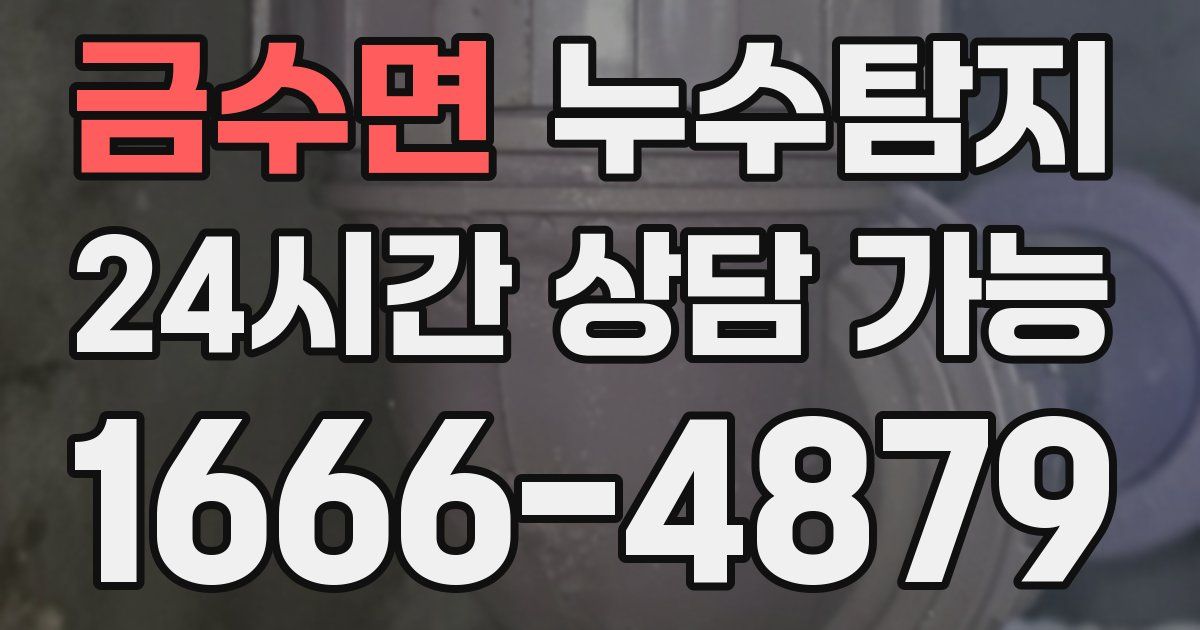 금수면 누수