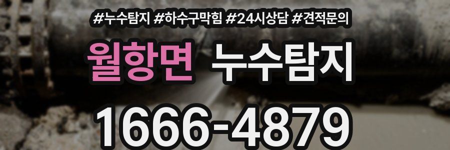누수탐지