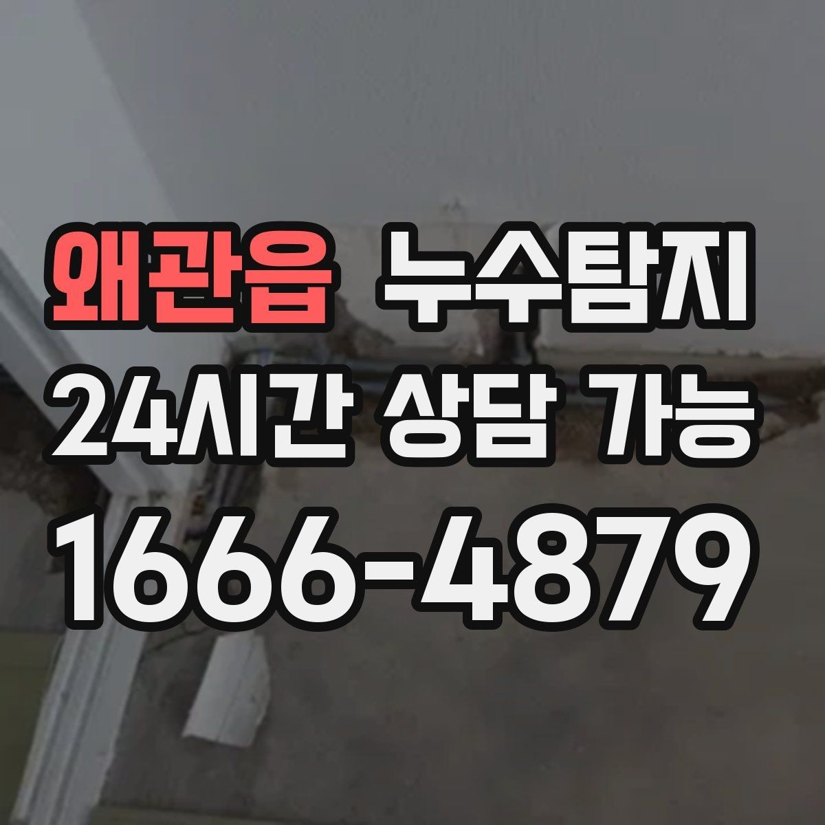 왜관읍 누수탐지 반려가정 배려 점검 후기