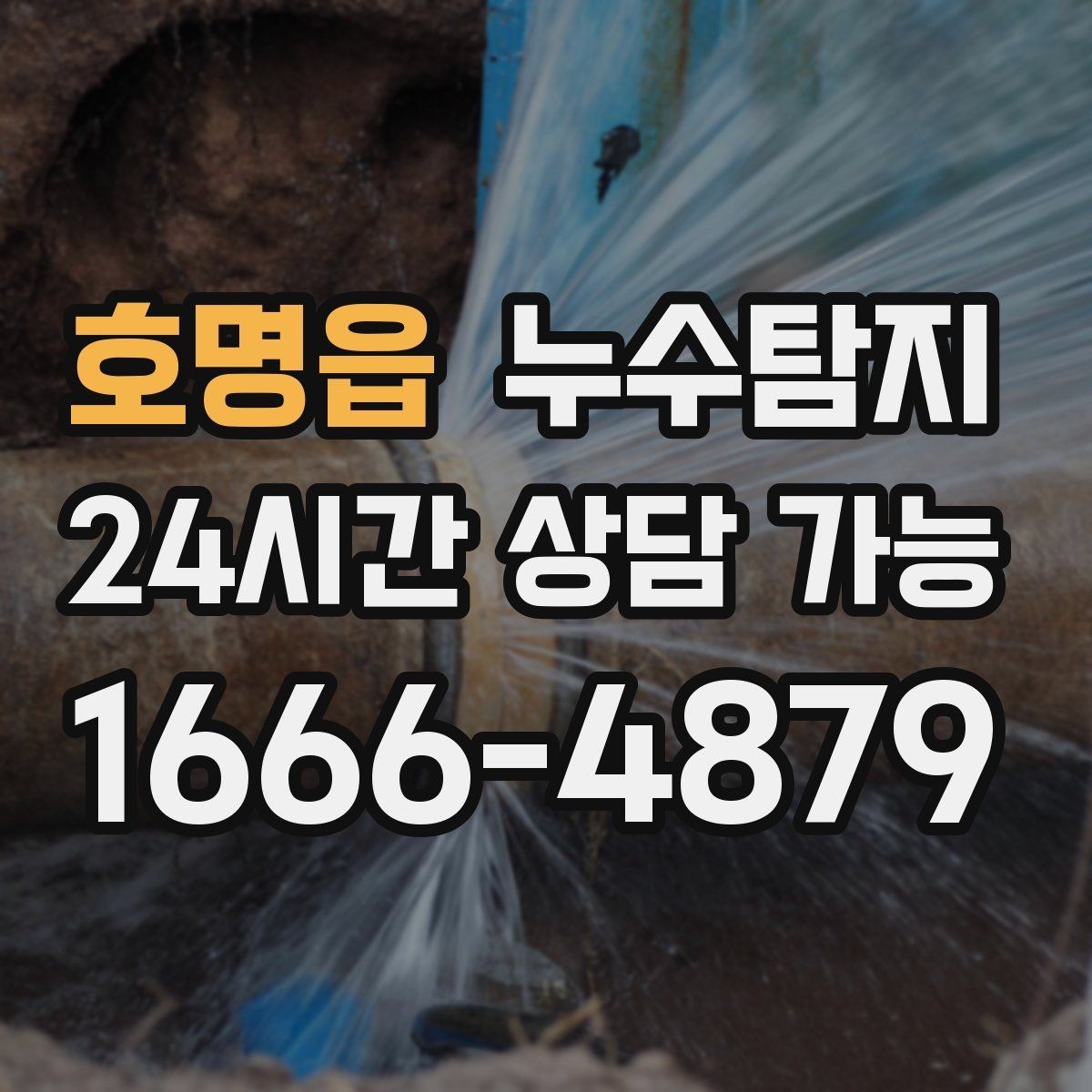 호명읍 누수탐지 감춰진 누수 정확한 진단으로 신속하게 해결해드립니다