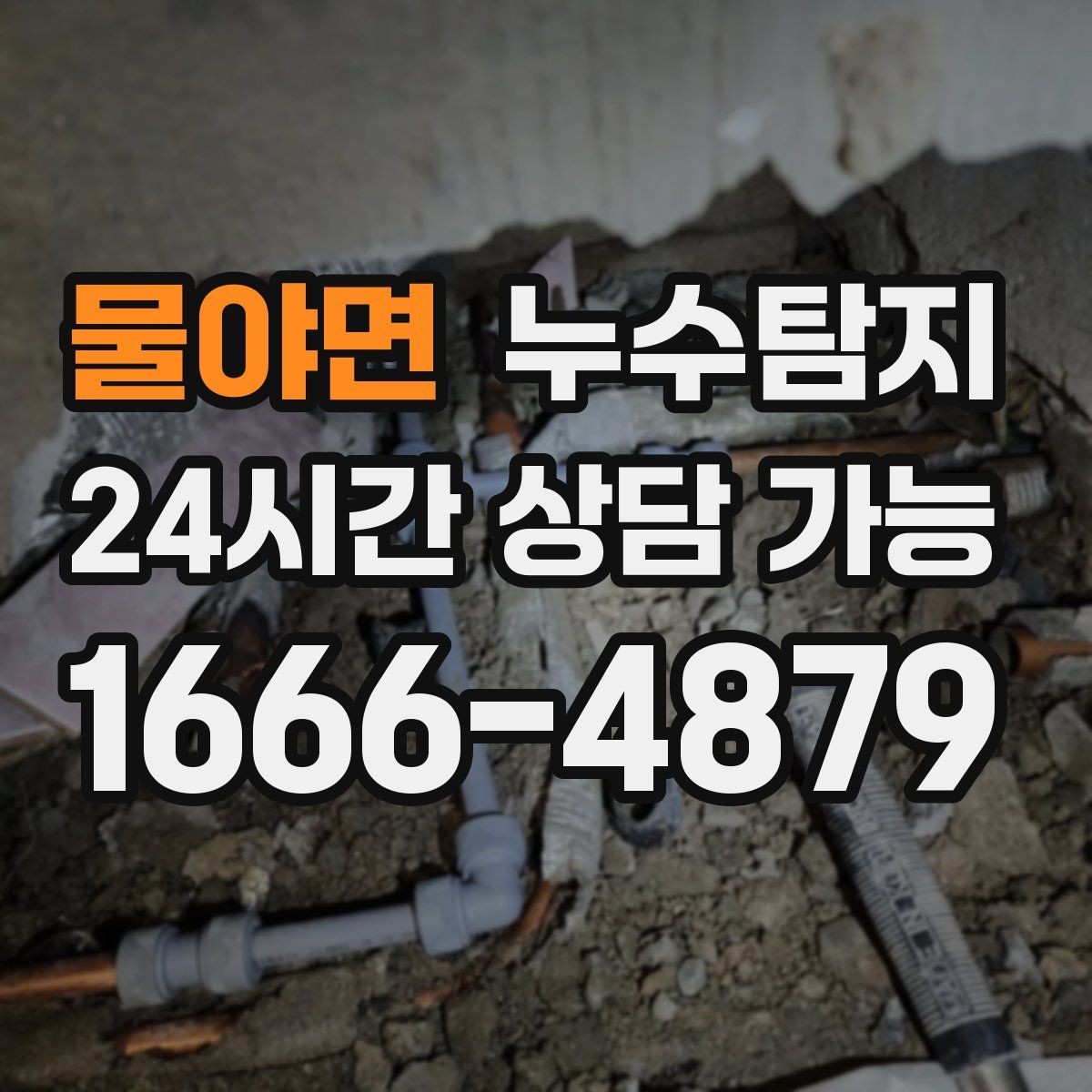 물야면 누수탐지 주말 공휴일 진단 운영