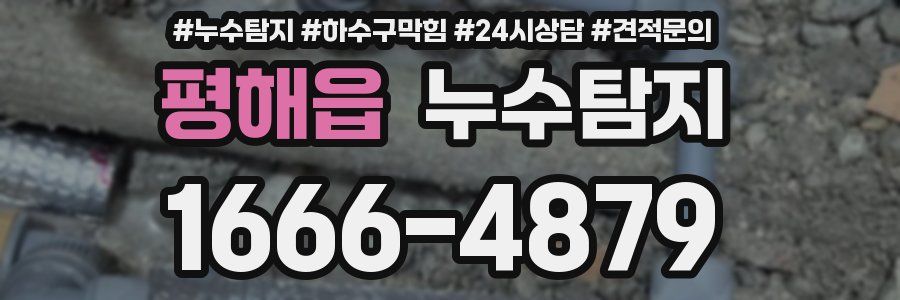 누수탐지