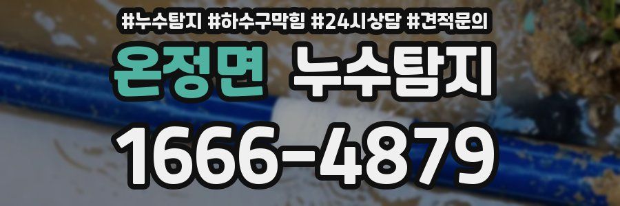 누수탐지