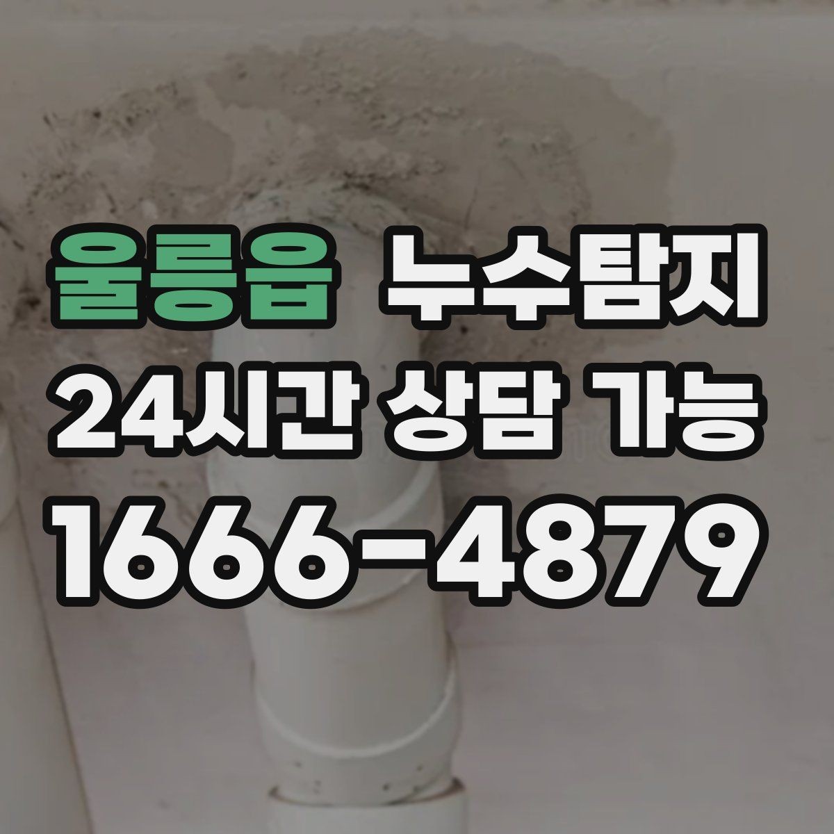 울릉읍 누수탐지 하자 보수 전 객관적 보고서 받기