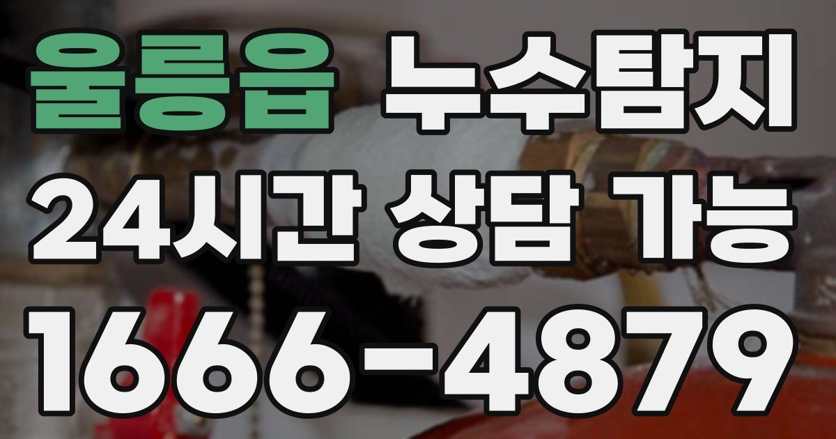 울릉읍 누수