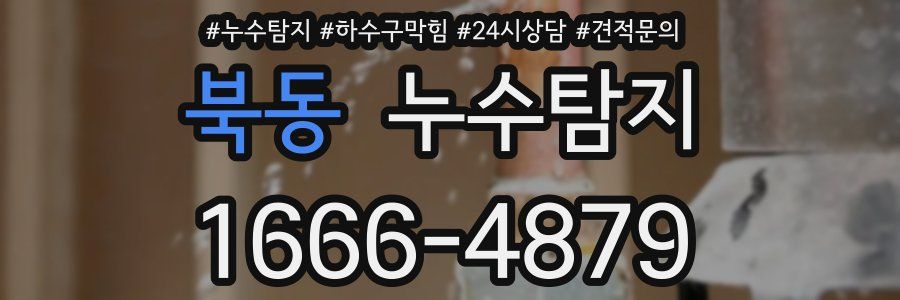 누수탐지