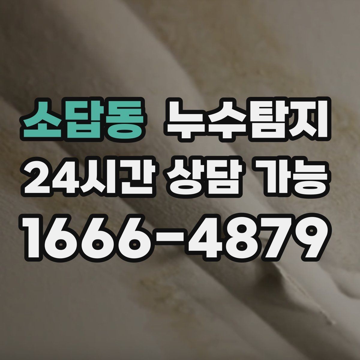 소답동 누수탐지 세탁실 배수 문제 진단 경험