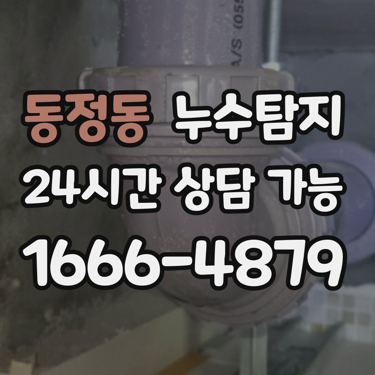 동정동 누수탐지