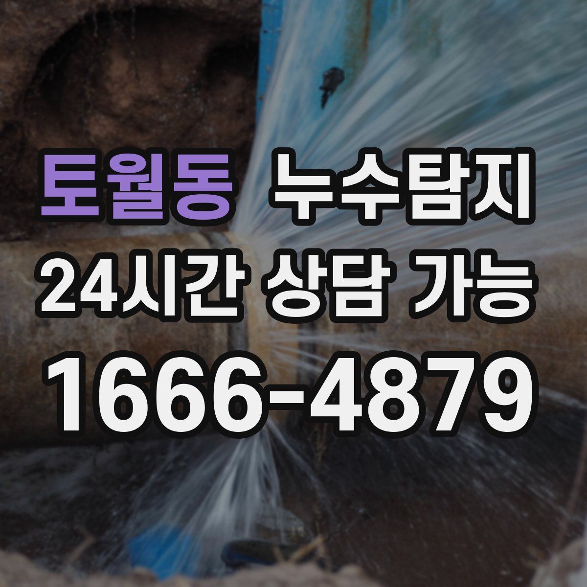 토월동 누수탐지