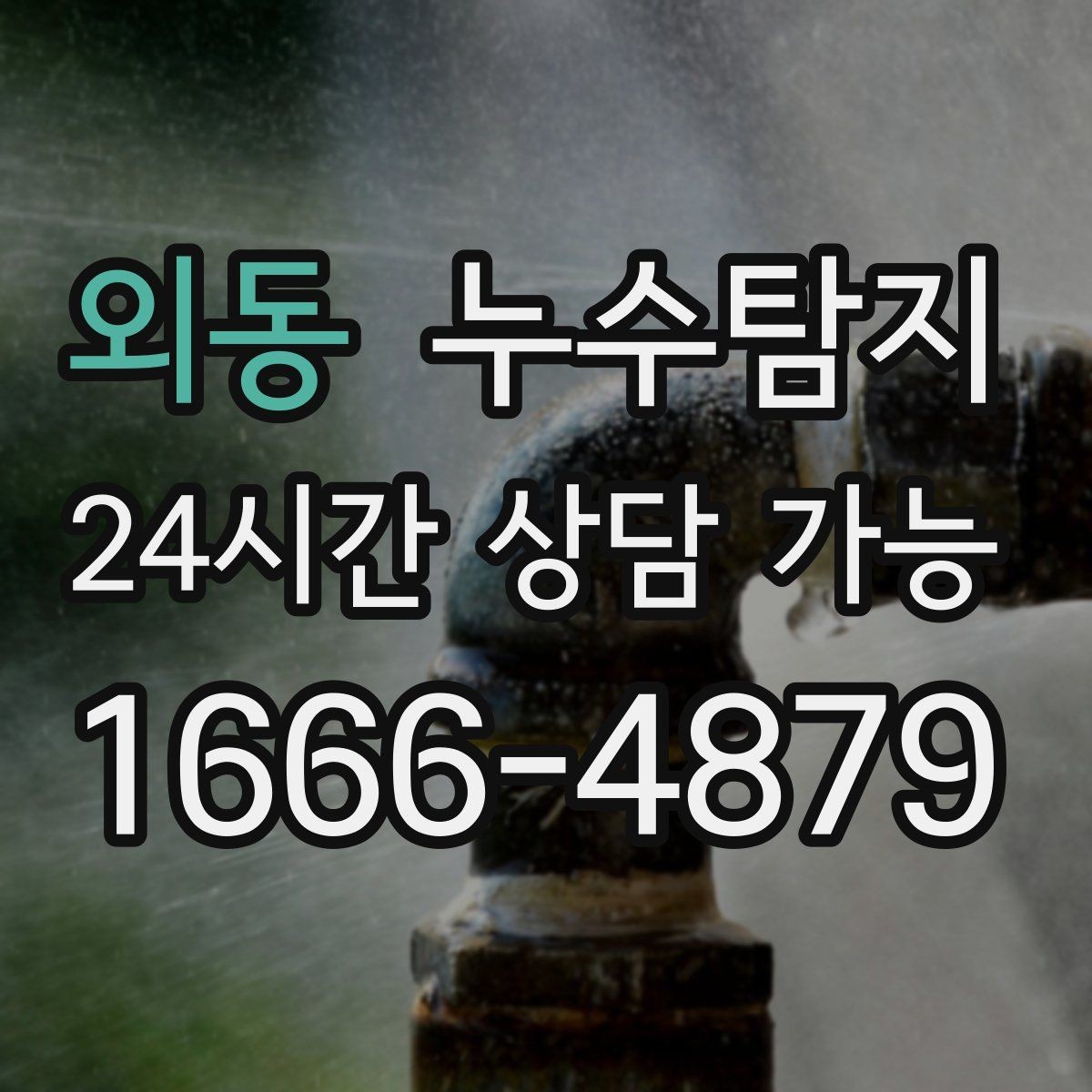 외동 누수탐지 옥상 방수 점검과 보수 타이밍