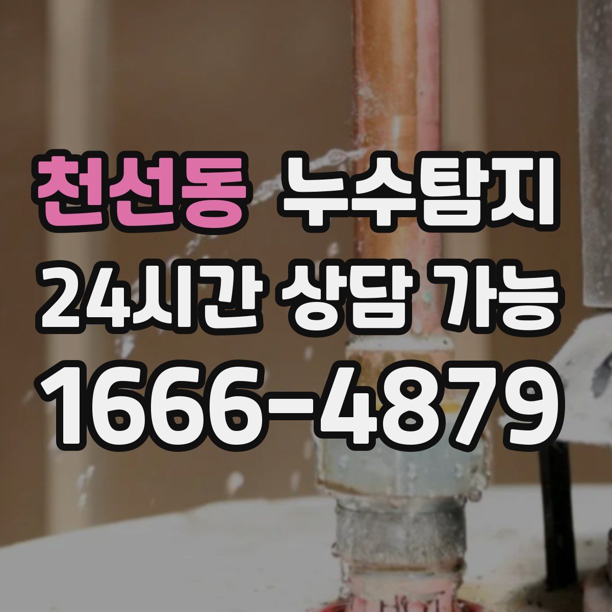 천선동 누수탐지
