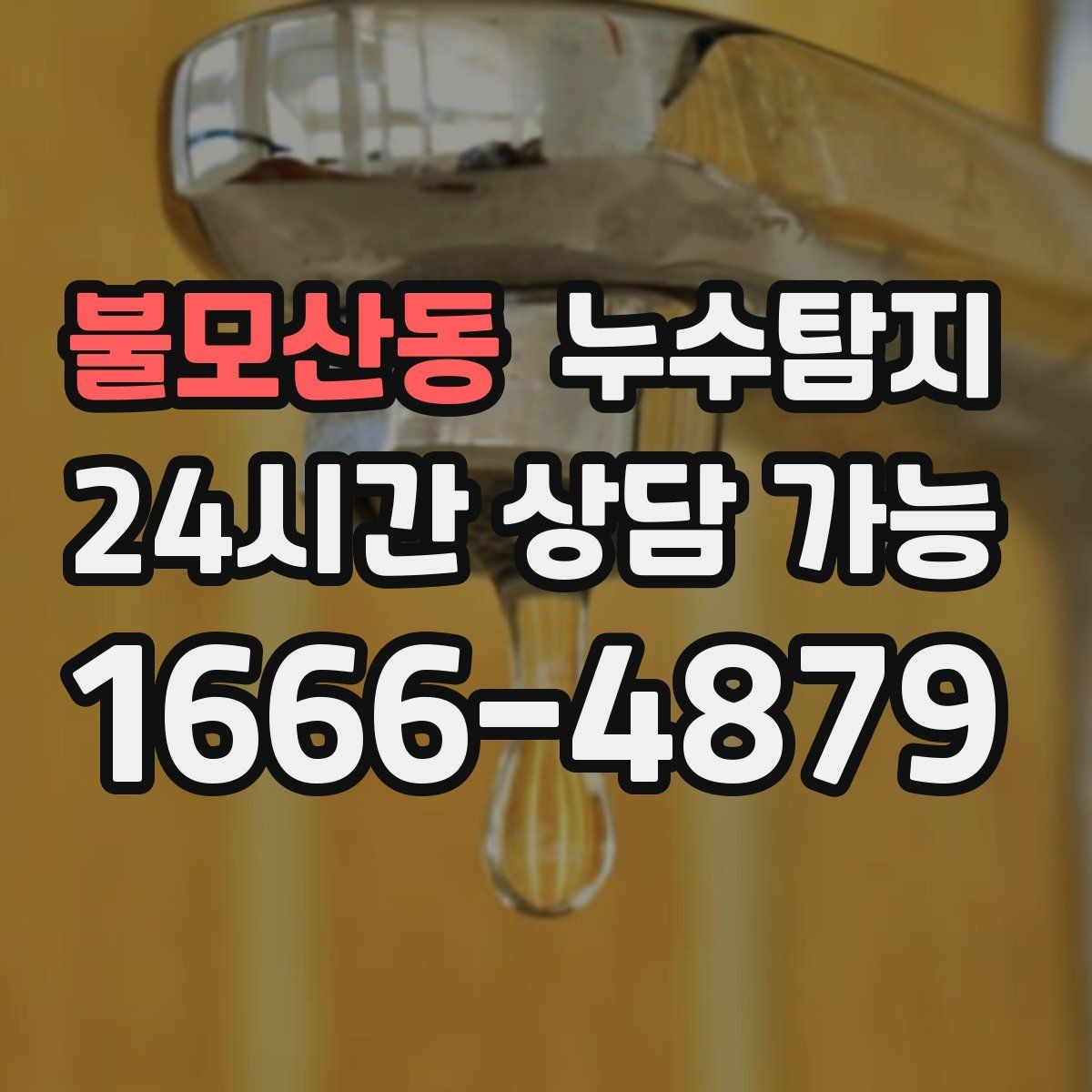 불모산동 누수탐지 예약부터 복구까지 전 과정 케어
