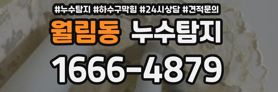 누수탐지