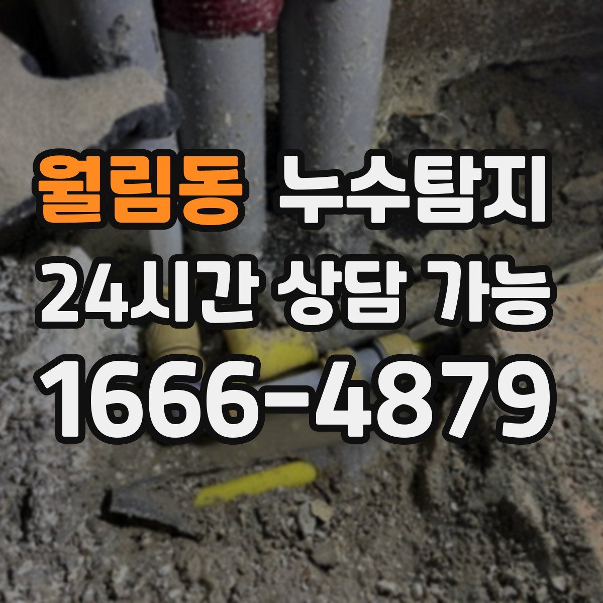 월림동 누수탐지