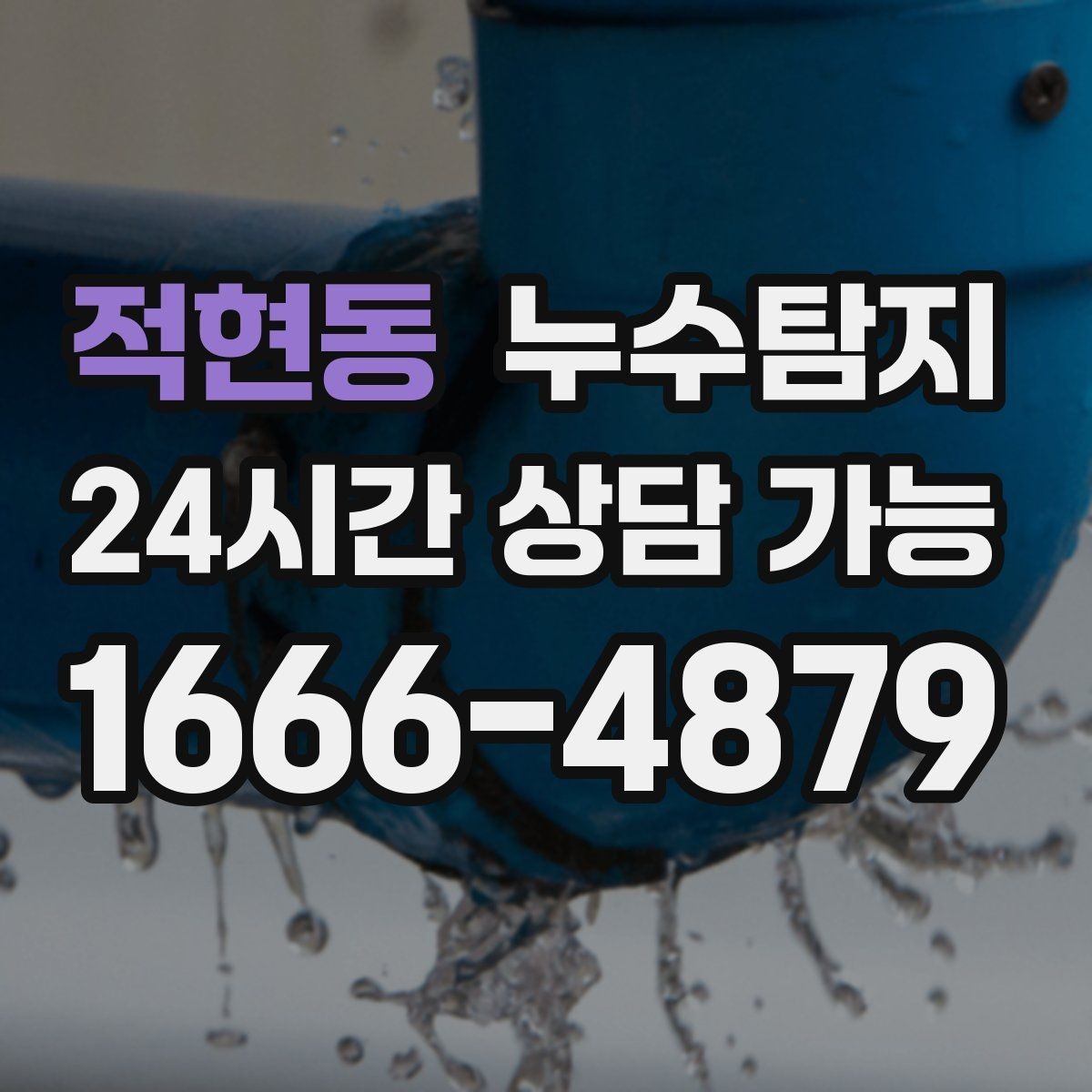 적현동 누수탐지 반려가정 배려 점검 후기