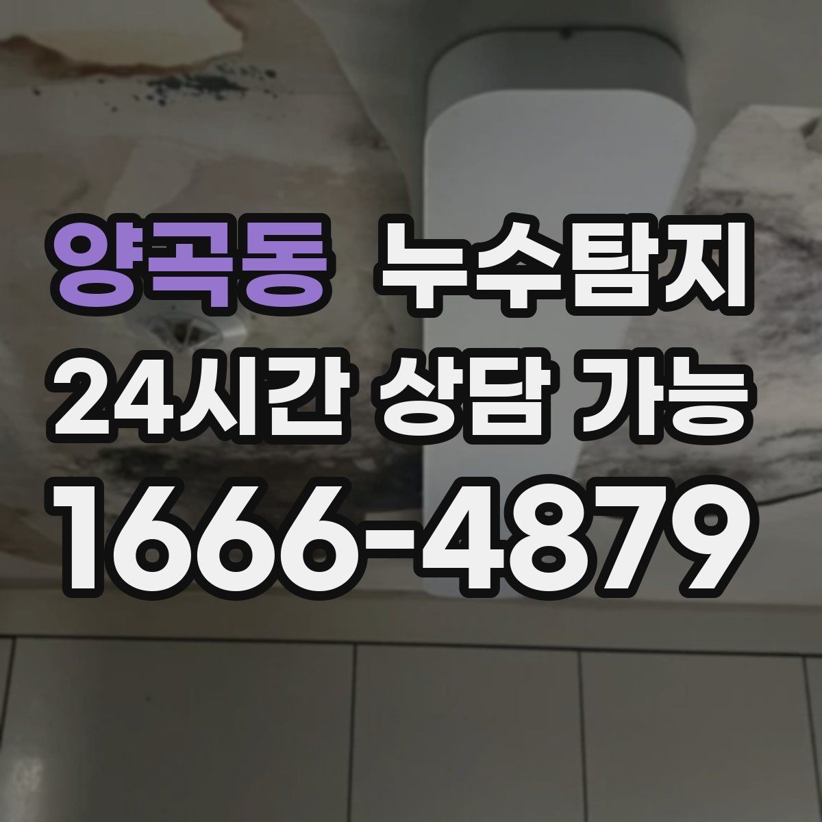 양곡동 누수탐지 학교와 병원 등 공공시설 점검기