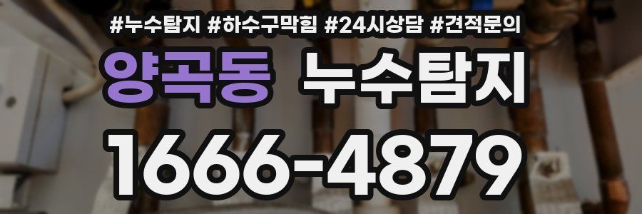 누수탐지