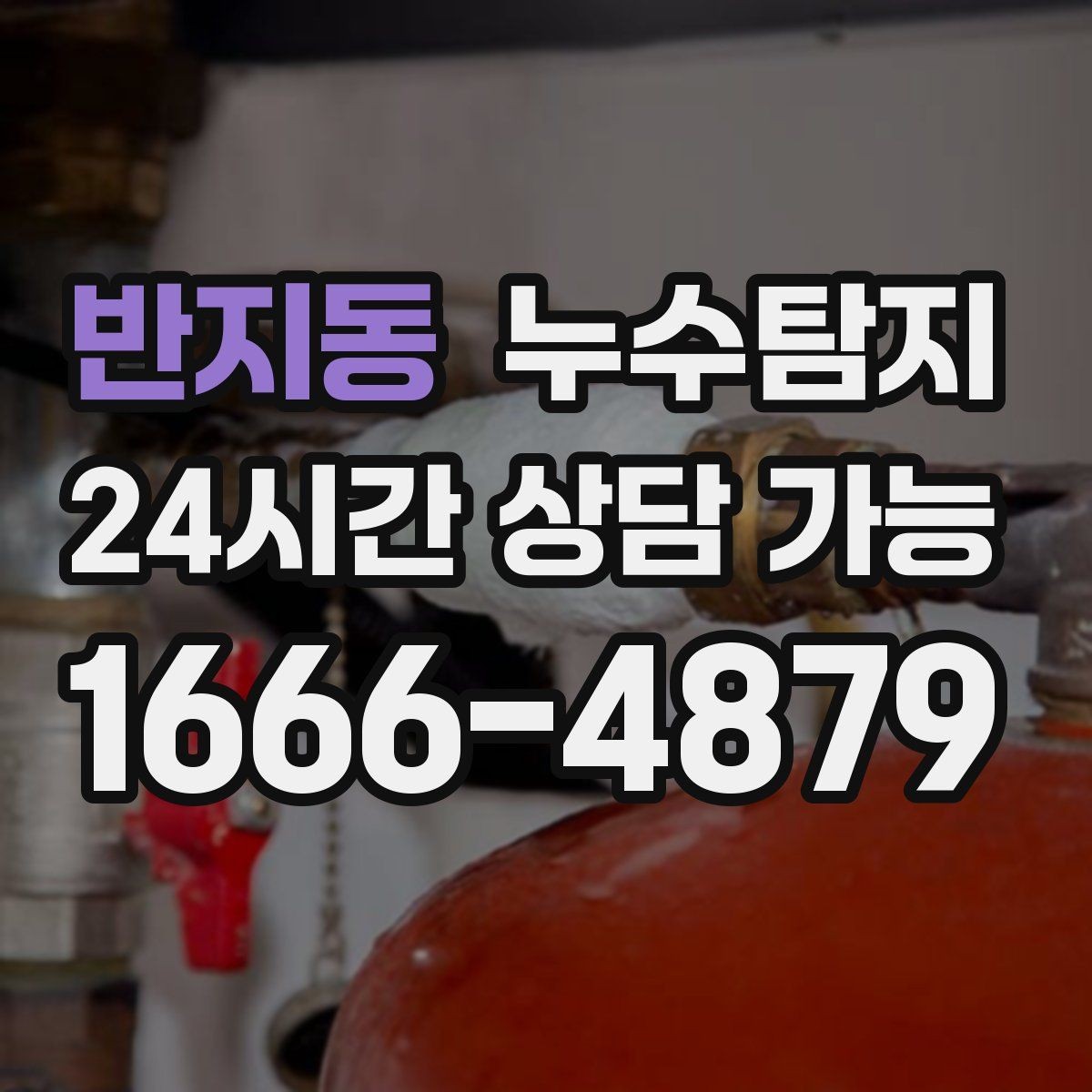 반지동 누수탐지 주말 공휴일 진단 운영