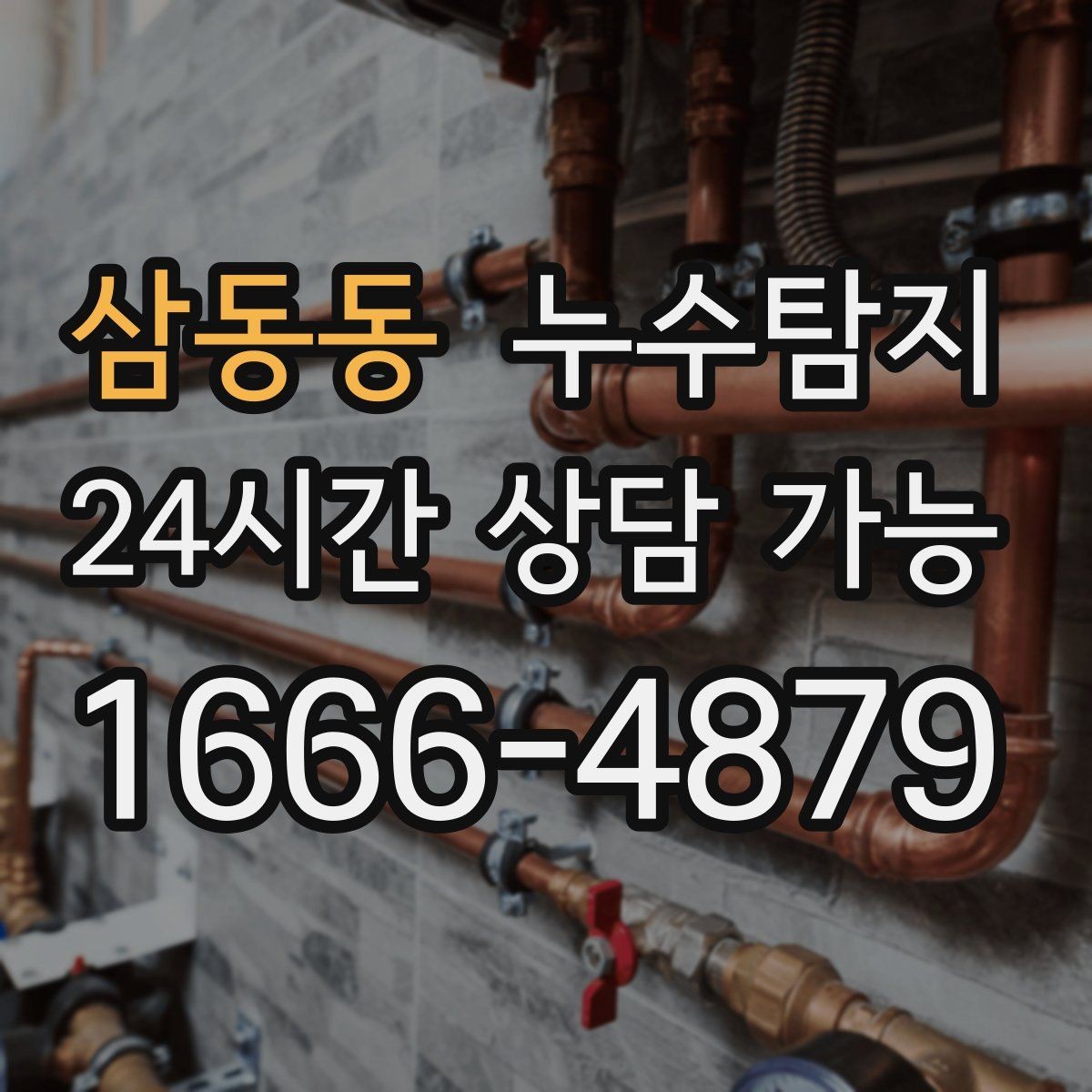 삼동동 누수탐지 공용배관 의심 구간 찾은 날