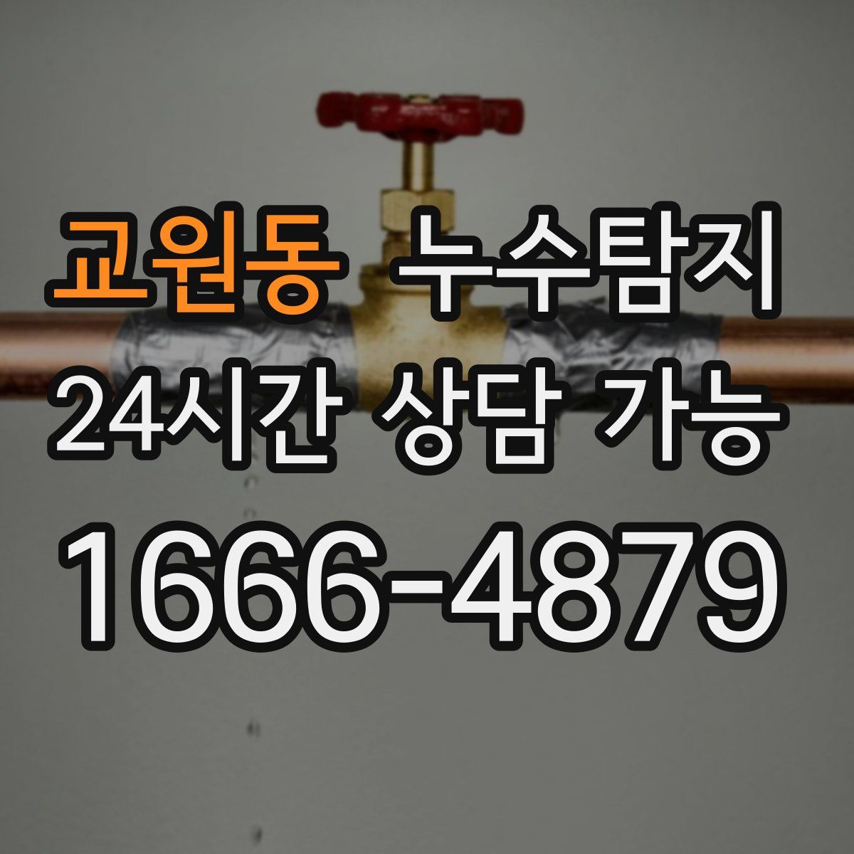 교원동 누수탐지