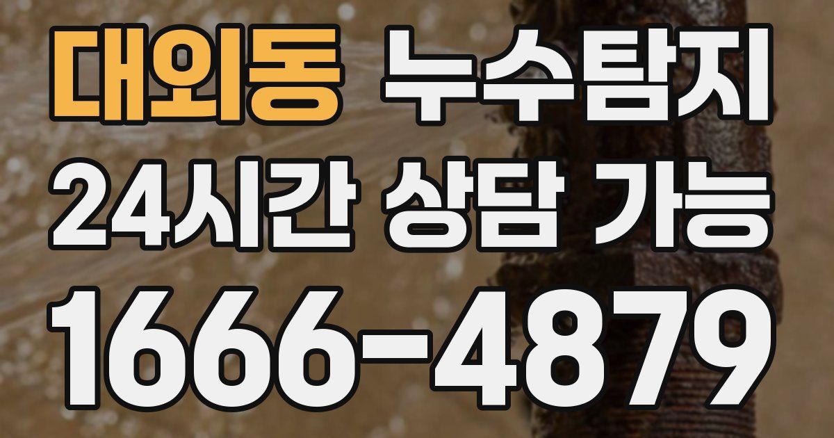 대외동 누수