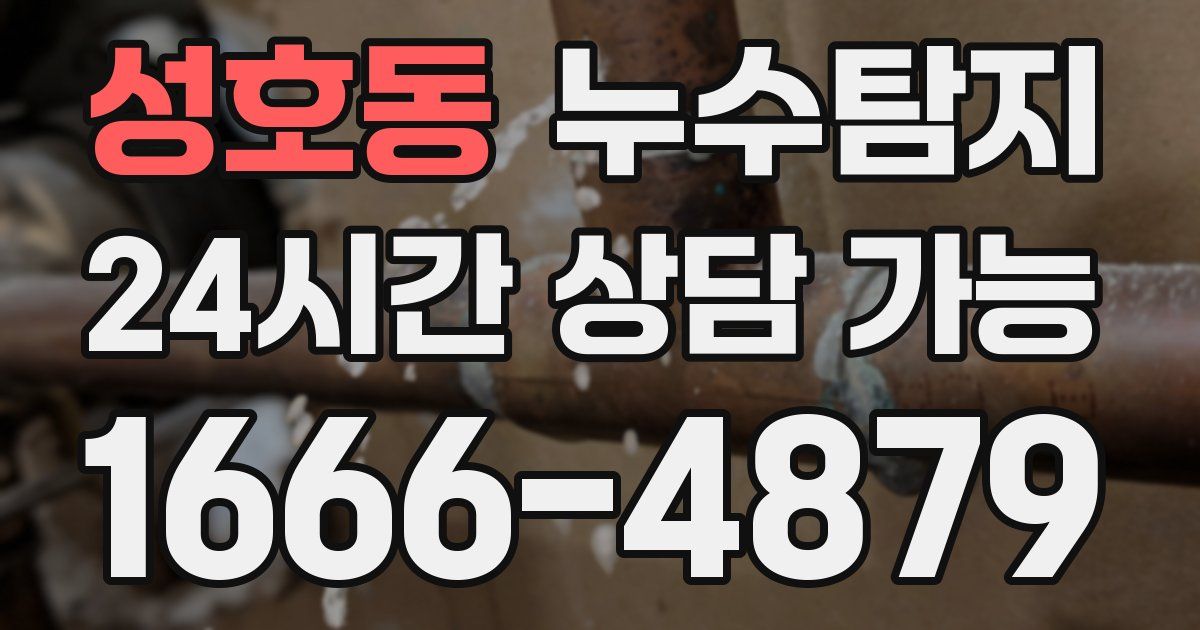 성호동 누수