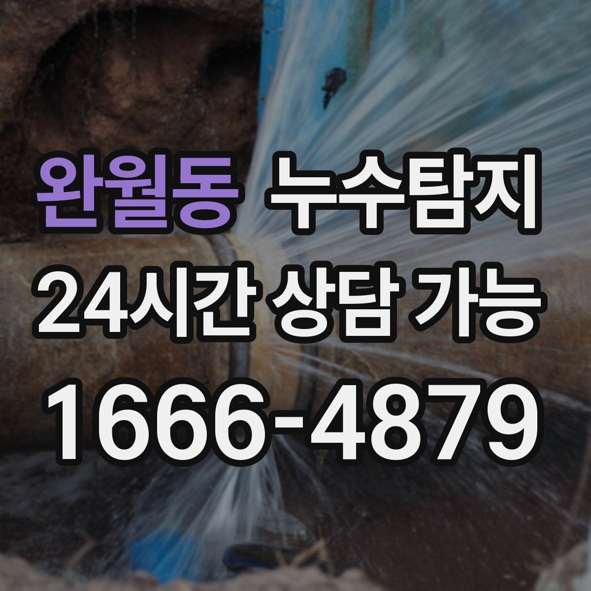 완월동 누수탐지 임대인과 임차인이 함께 볼 가이드