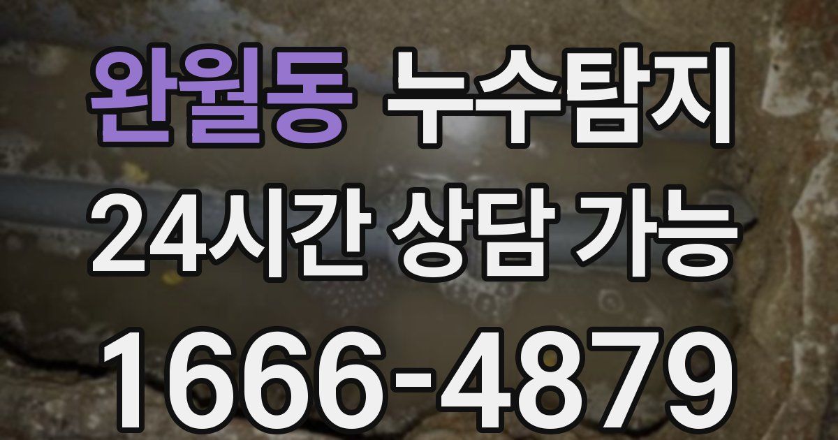 완월동 누수