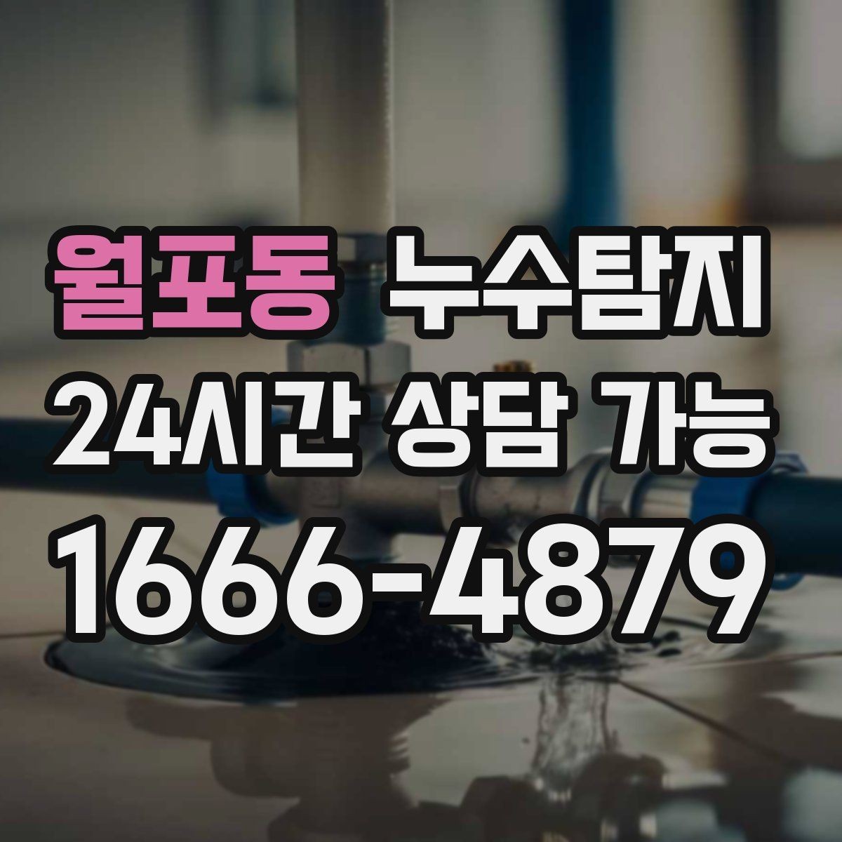 월포동 누수탐지 병원 진료동 안전 점검 이야기