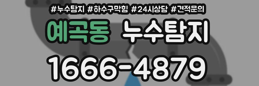 누수탐지