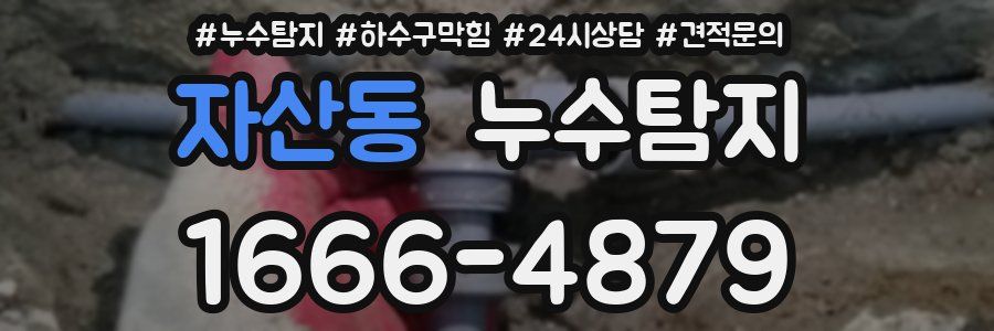누수탐지