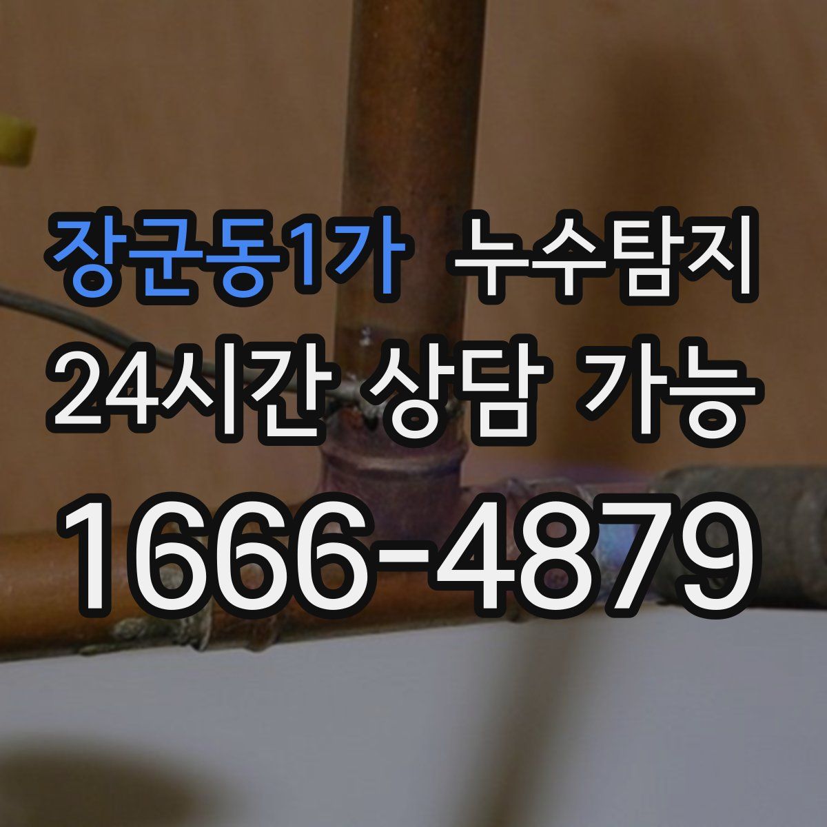 장군동1가 누수탐지
