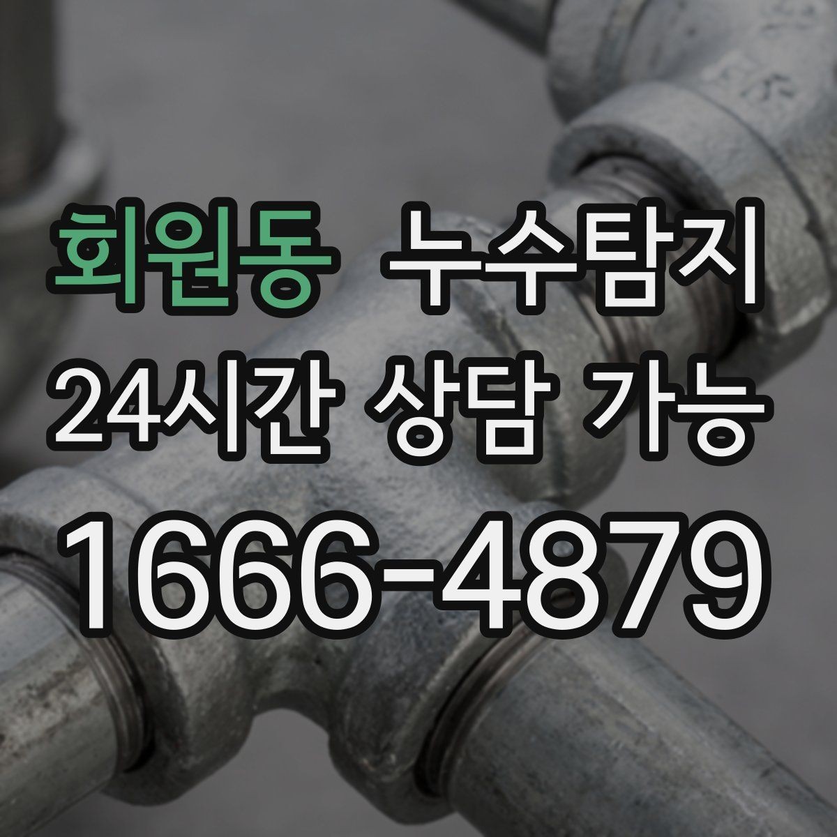 회원동 누수탐지 곰팡이 악취 원인 진단