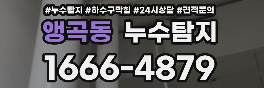 누수탐지