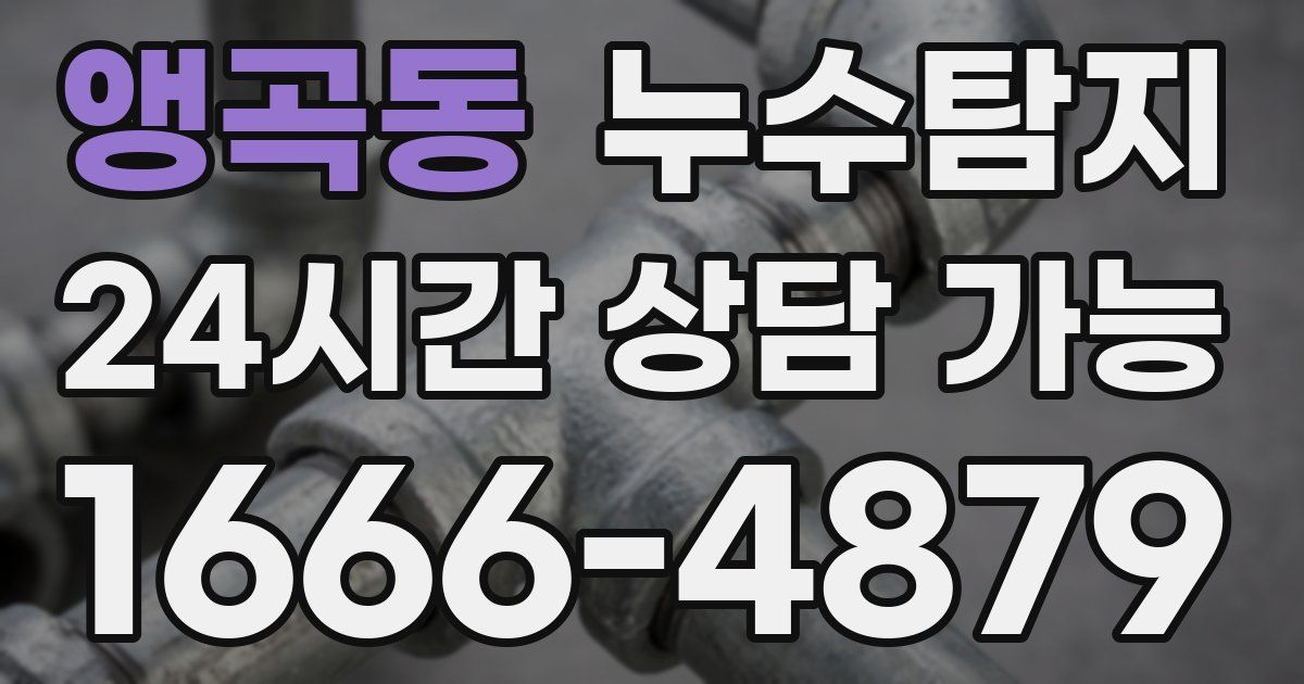 앵곡동 누수