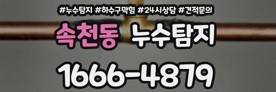 누수탐지