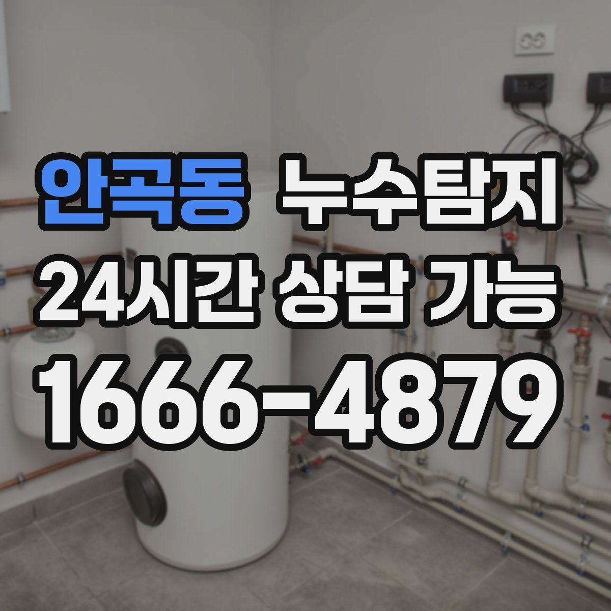 안곡동 누수탐지 합리적인 비용으로 문제를 해결하세요