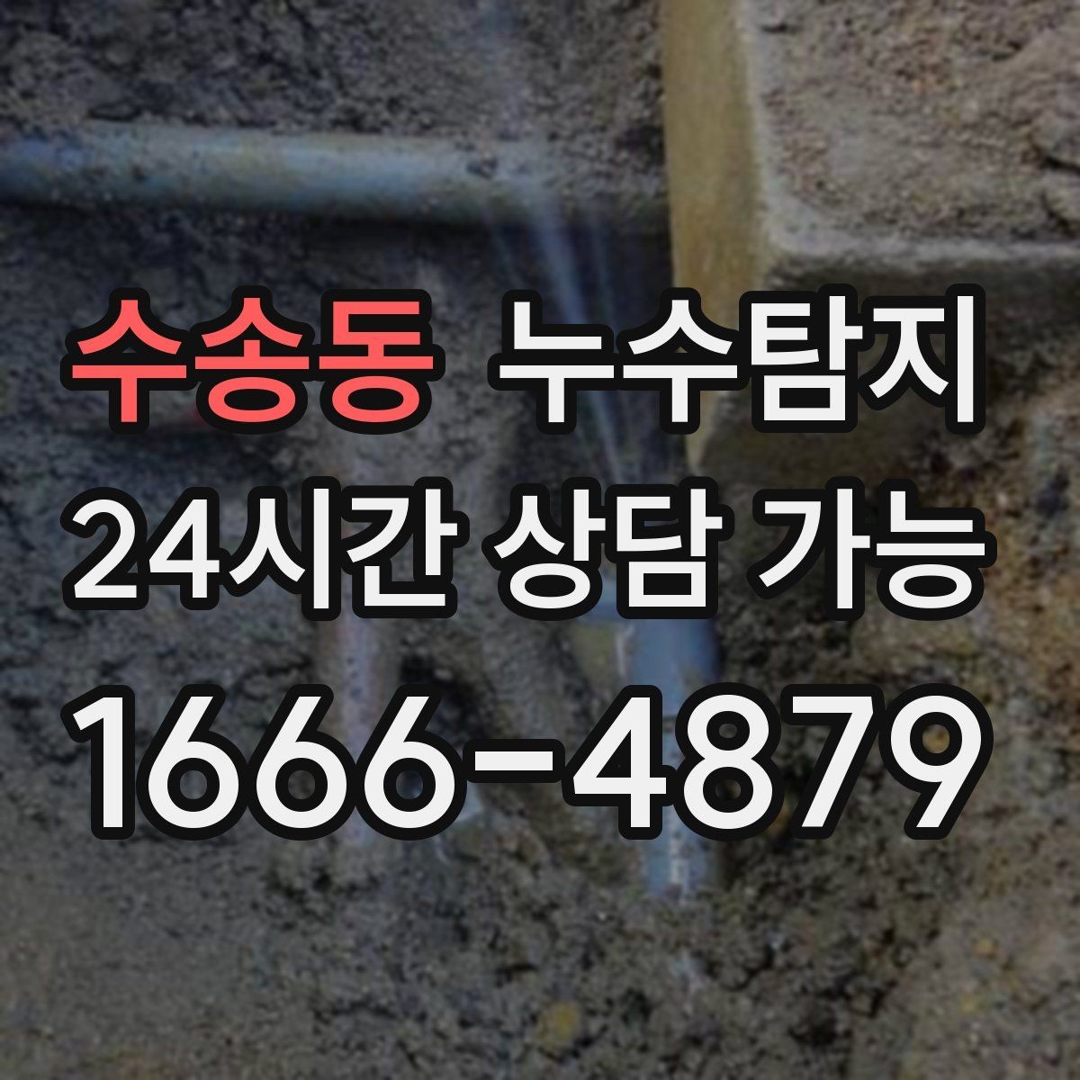 수송동 누수탐지 단열 결로와 누수 구분 진단