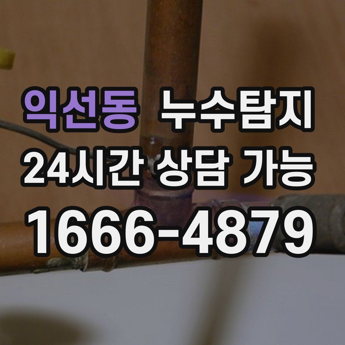 익선동 누수탐지 욕실 곰팡이 원인과 해결 과정