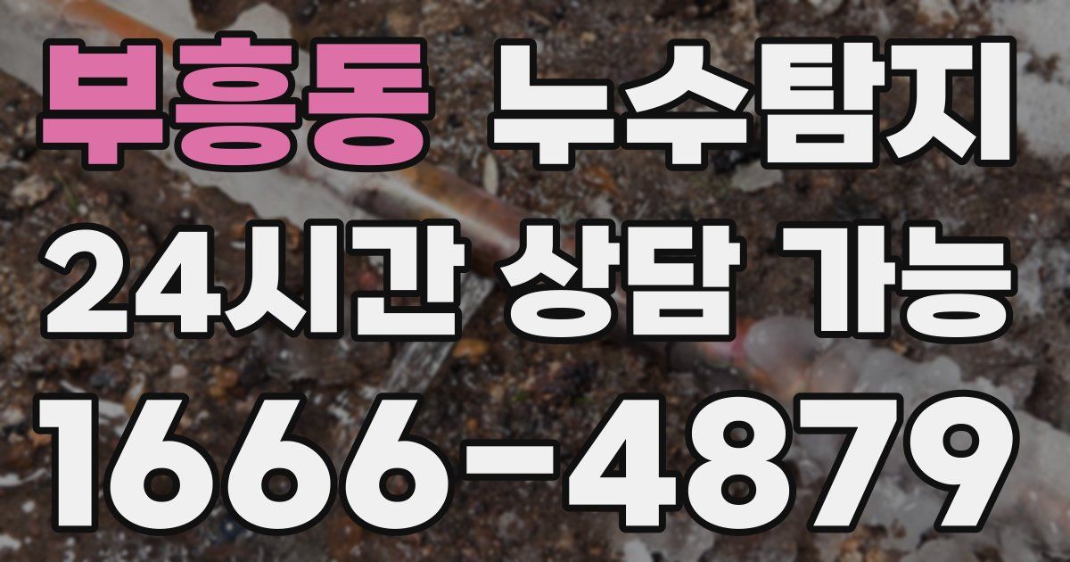 부흥동 누수