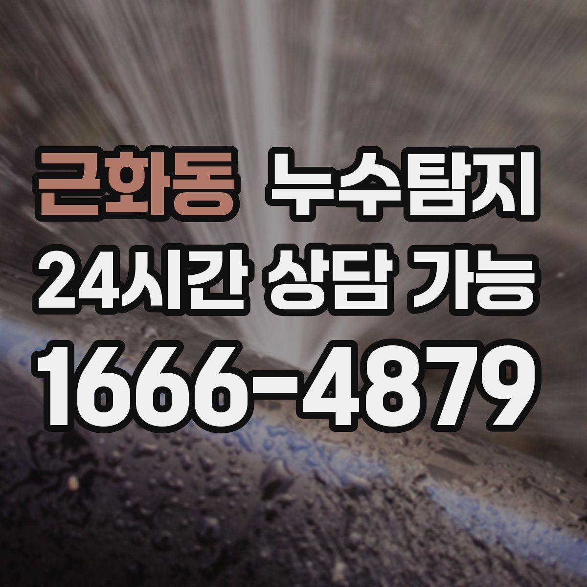 근화동 누수탐지 합리적인 비용으로 문제를 해결하세요