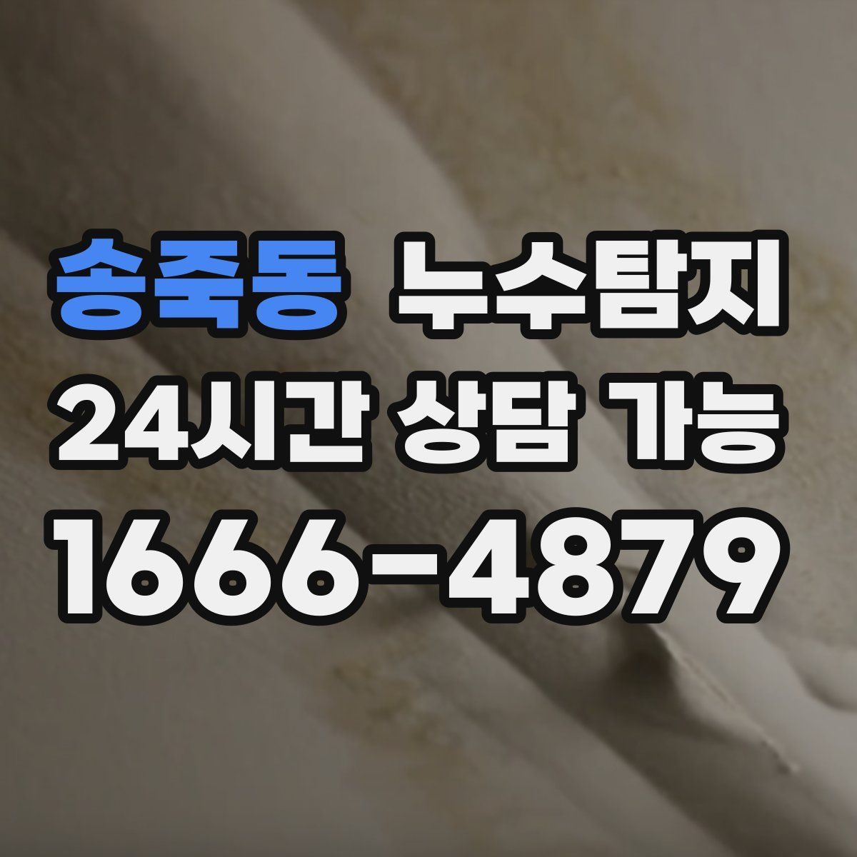 송죽동 누수탐지