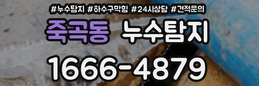 누수탐지