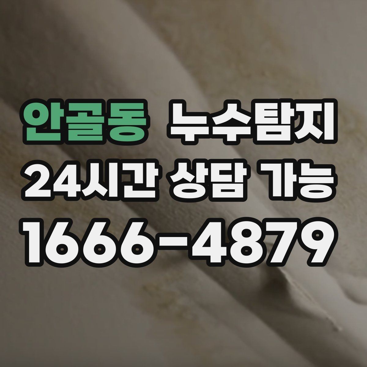 안골동 누수탐지 외벽 침투수 초기 대응 기록