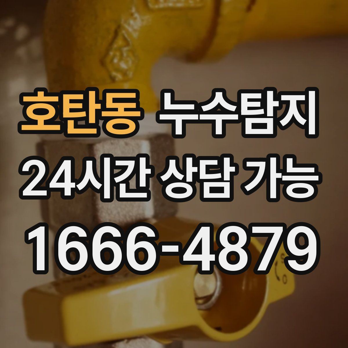 호탄동 누수탐지 반지하 습기 문제 해결기