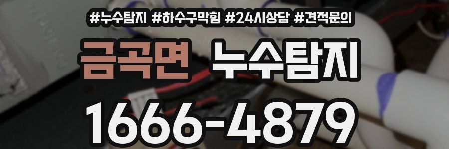 누수탐지
